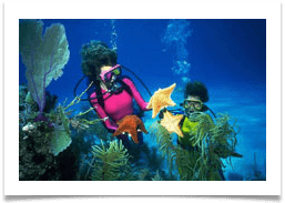 НЕЗАБУТНІЙ ДАЙВІНГ